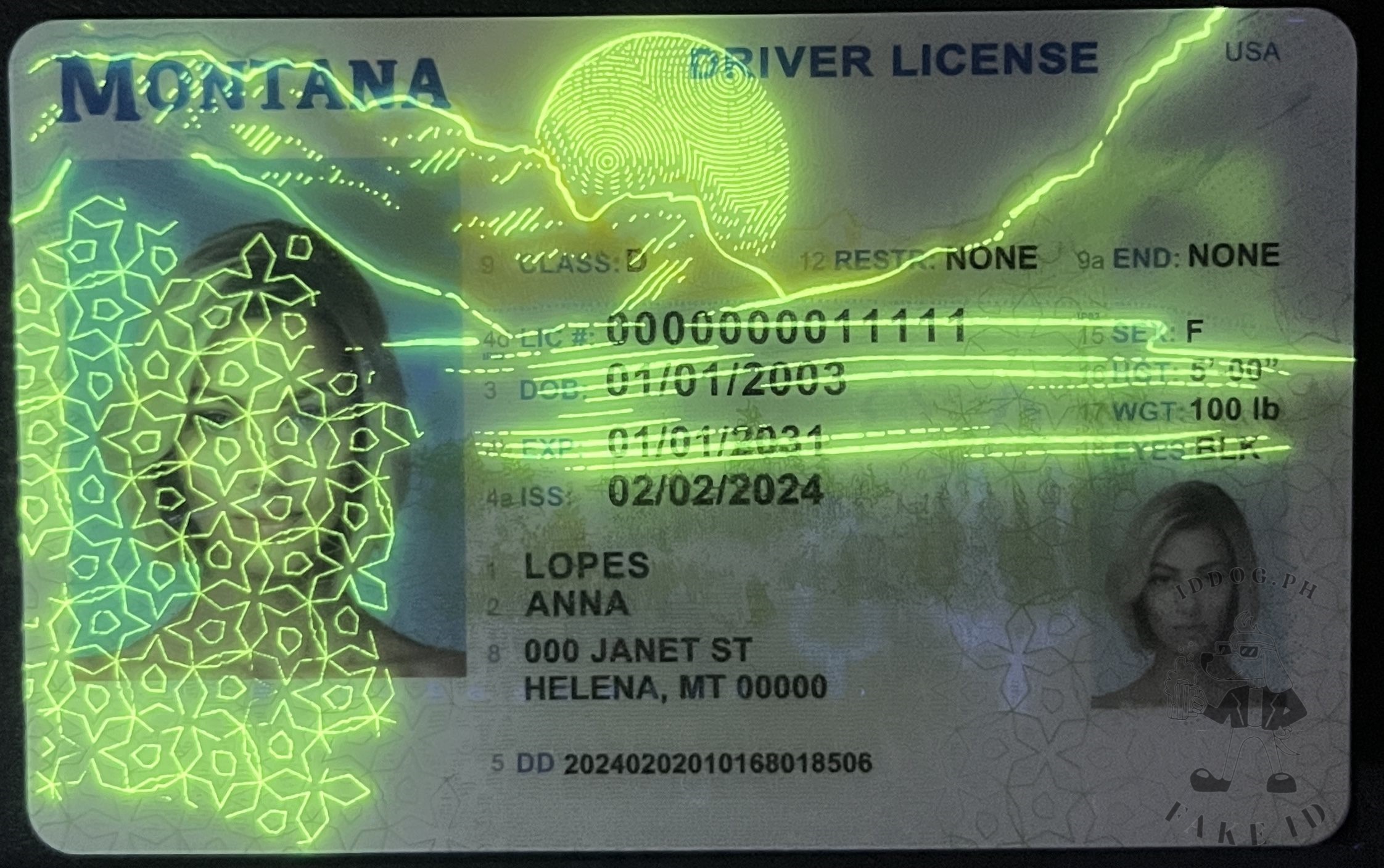 Montana Fake ID