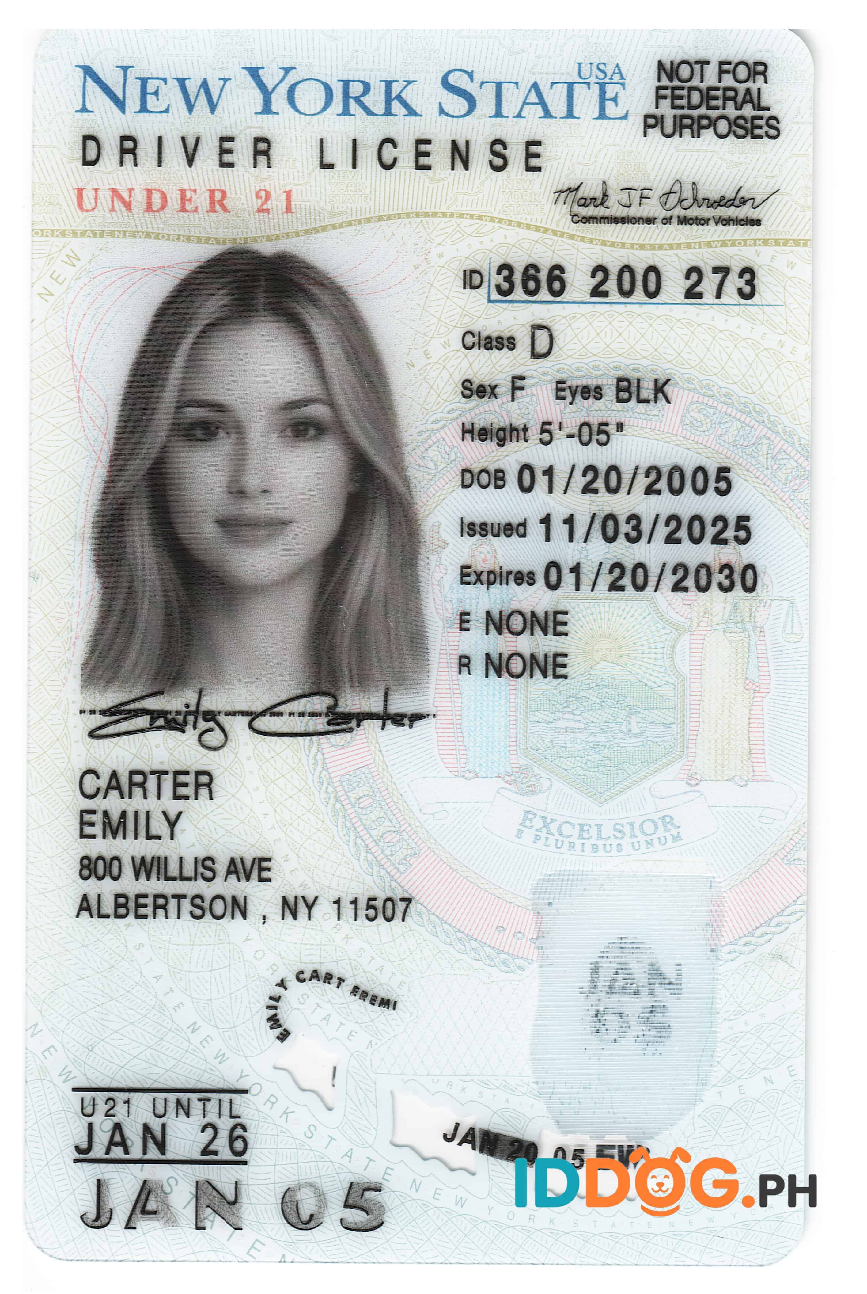 New York(U21) Fake ID
