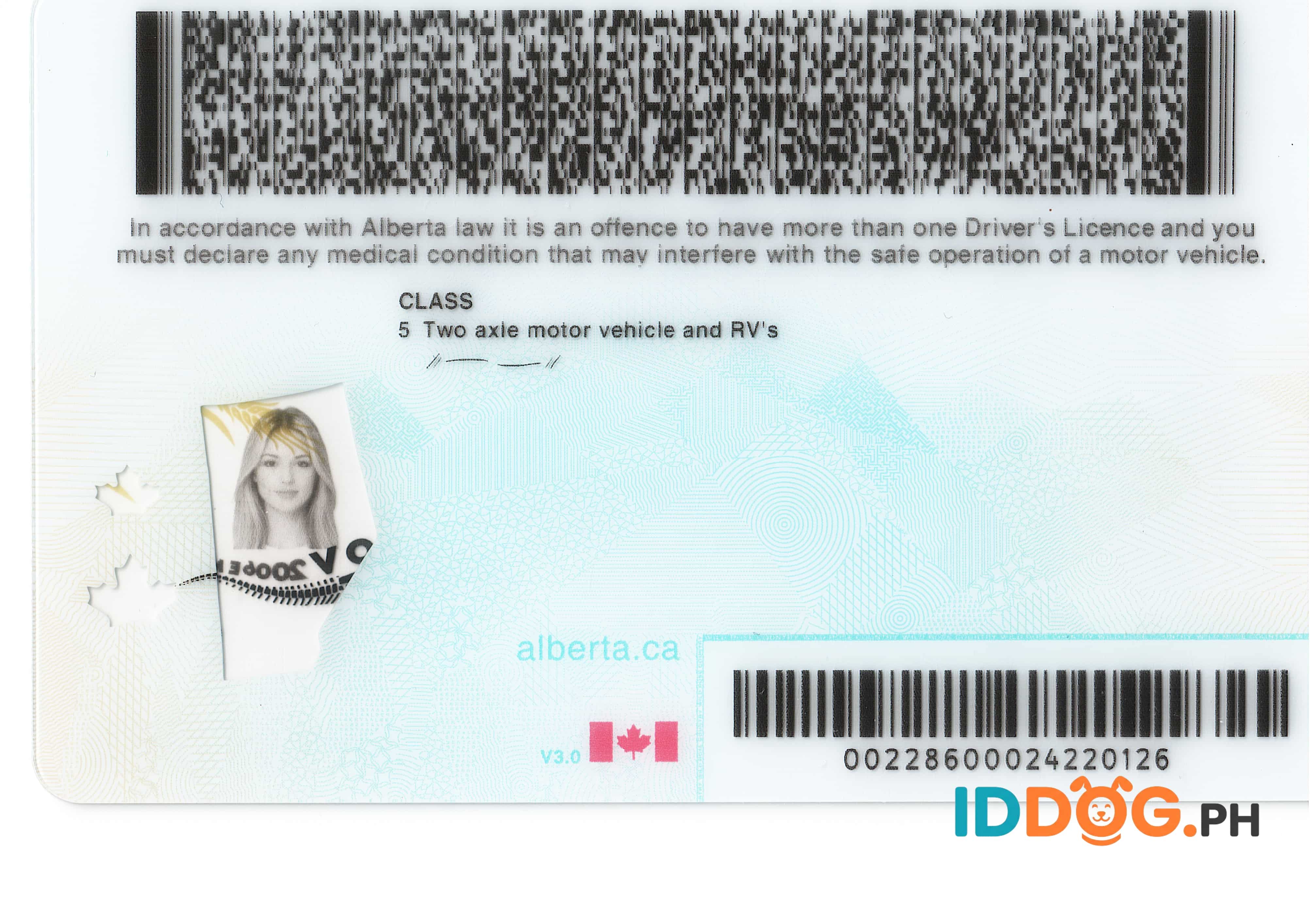 Alberta Fake ID