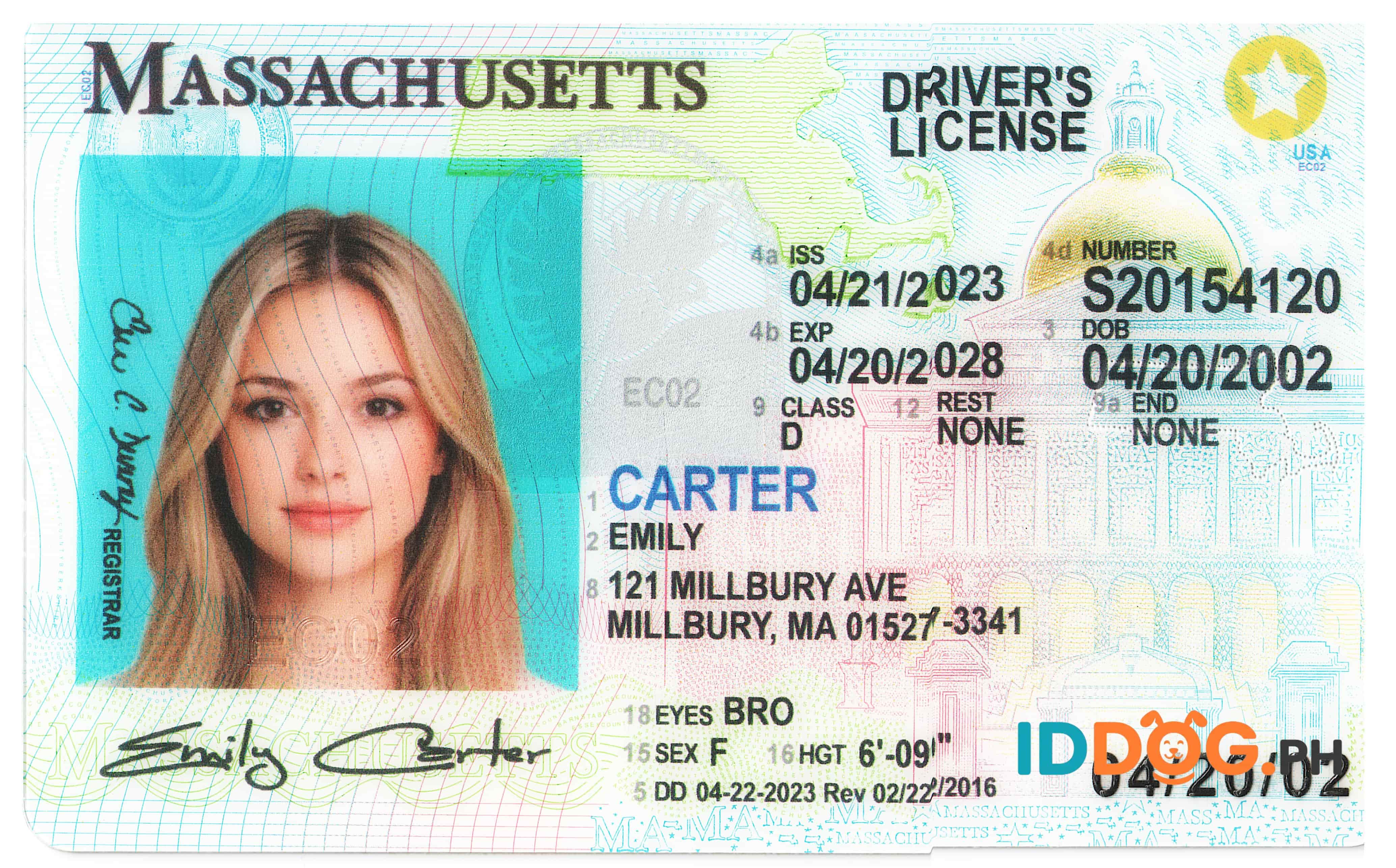 Massachusetts Fake ID