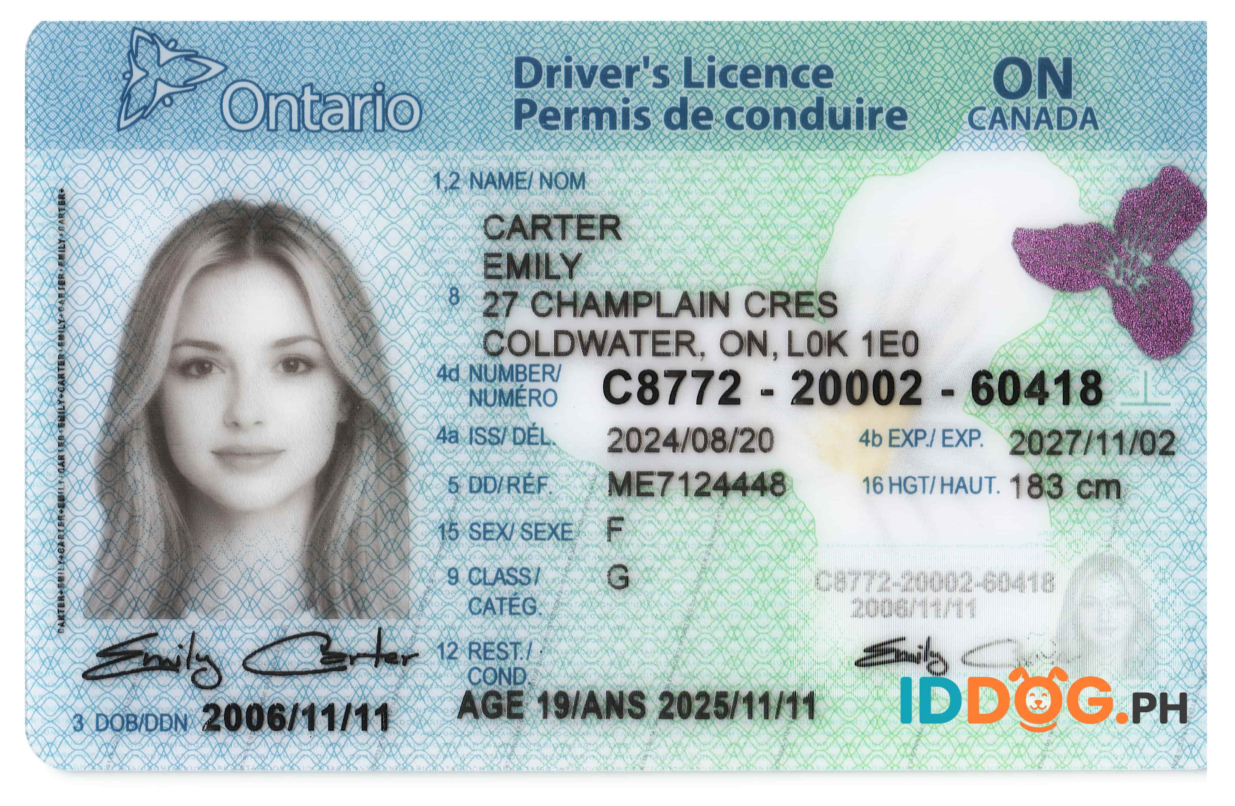 Ontario Fake ID