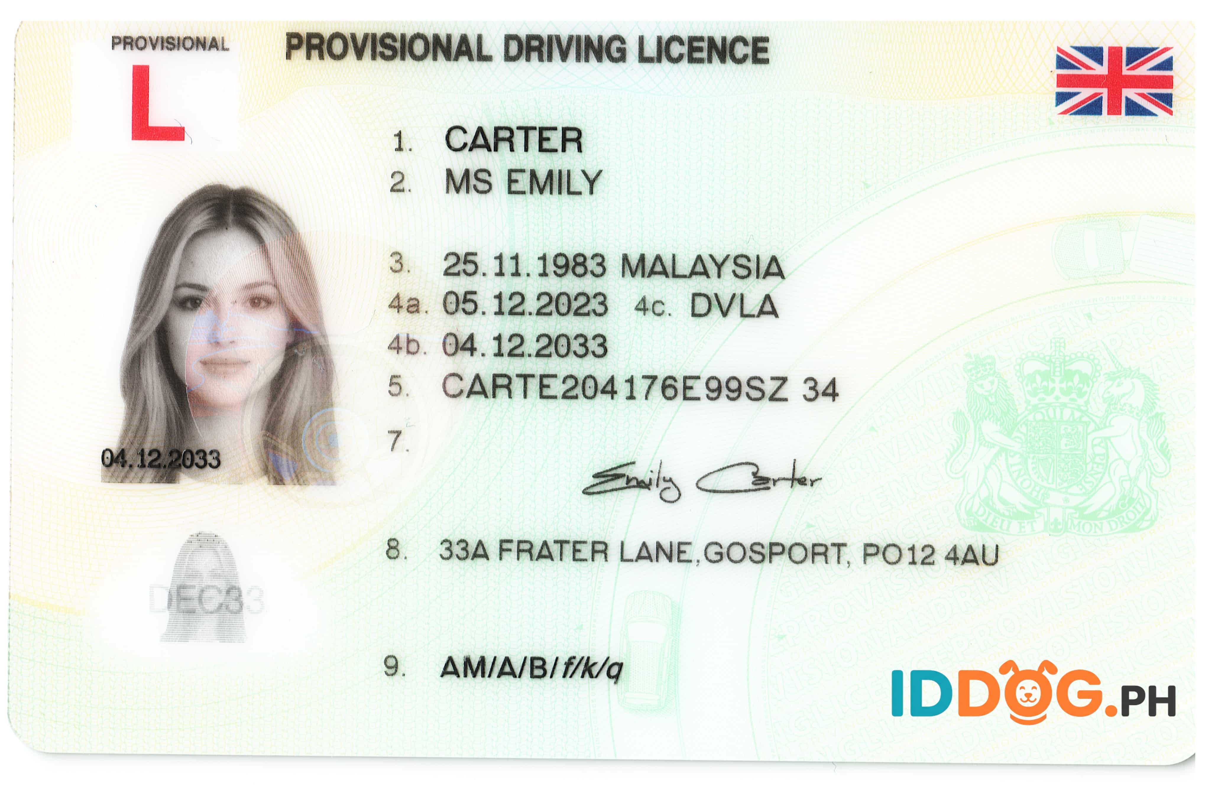 Provisional Fake ID