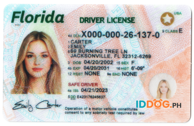 Florida-2 Fake ID