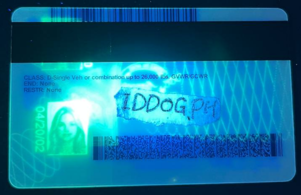 Minnesota Fake ID