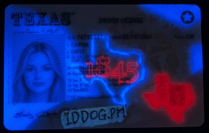 Texas (NEW) Fake ID