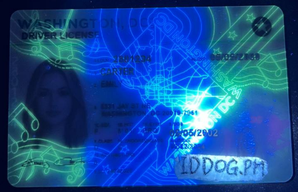 Washington(NEW) Fake ID