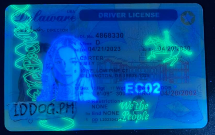 Delaware(O21) Fake id