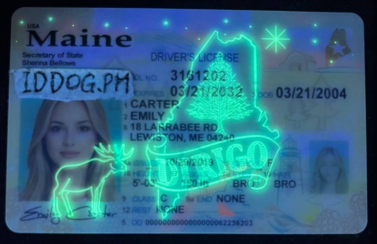 Maine Fake ID