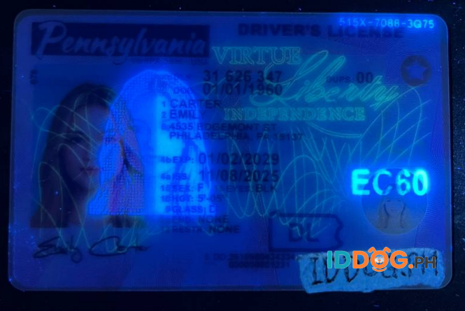 Pennsylvania Fake ID