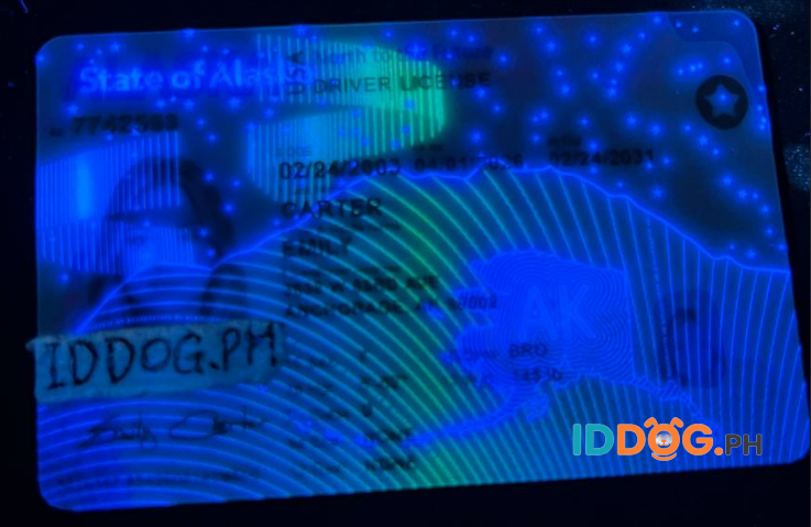 Alaska Fake ID