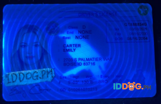 Idaho (NEW) Fake ID