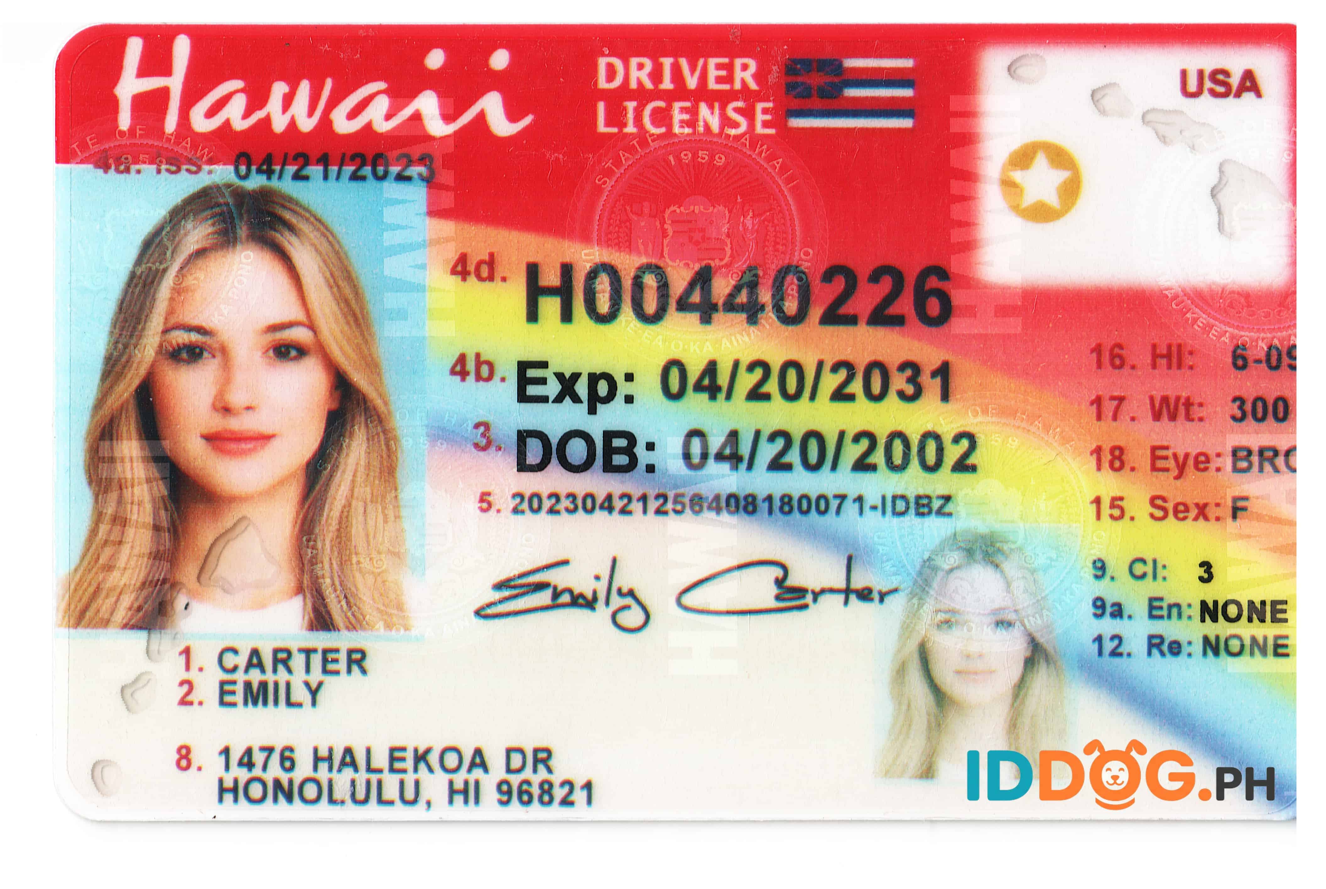 Hawaii Fake ID