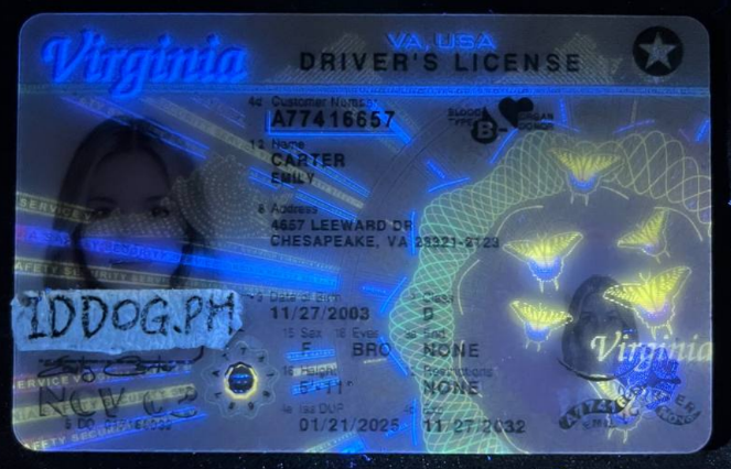 Virginia Fake ID-(NEW)