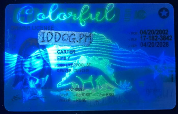 Colorado (NEW) Fake ID