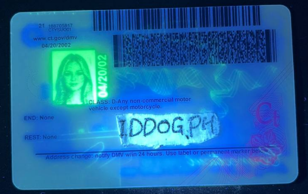 Connecticut Fake ID