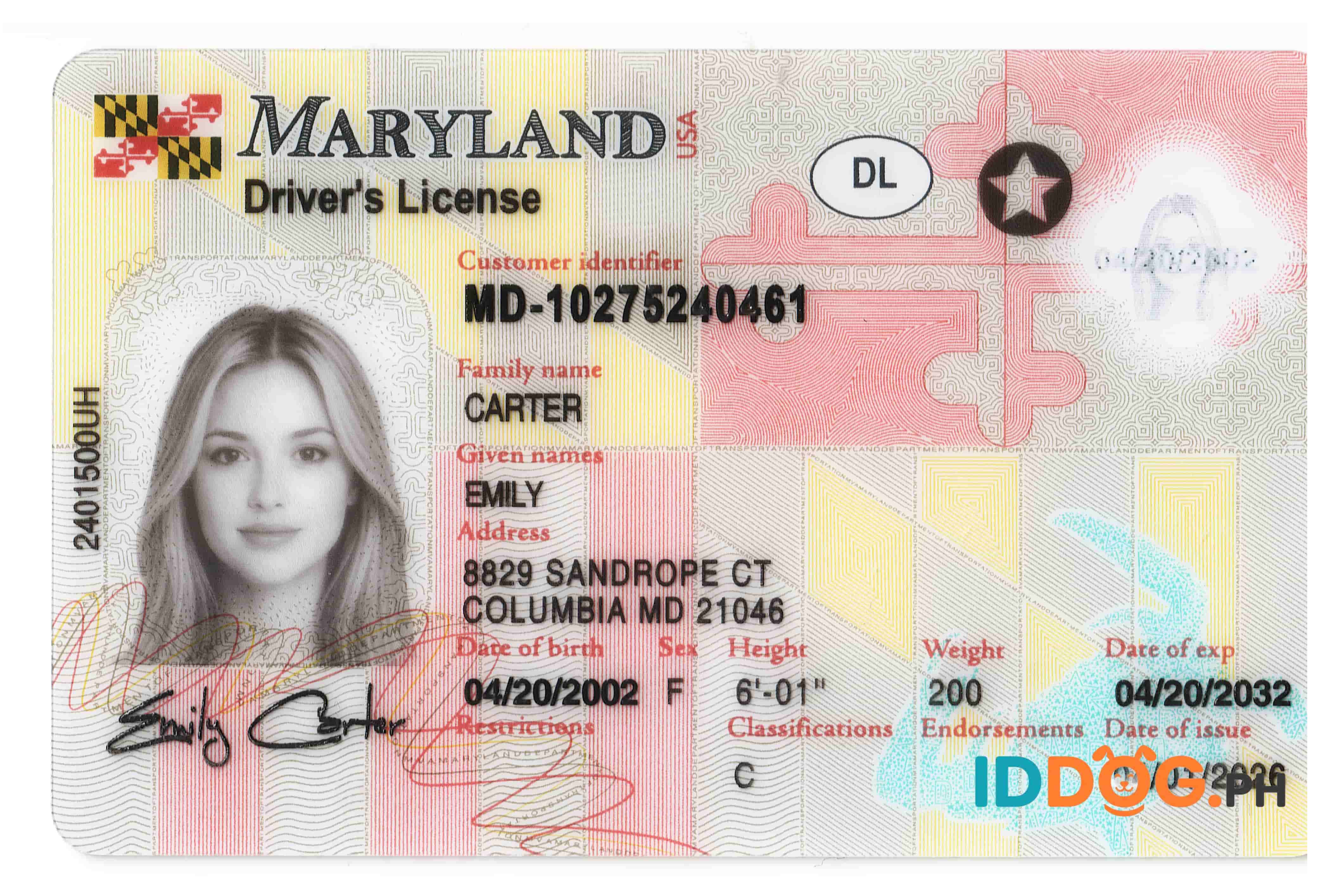 Maryland Fake ID