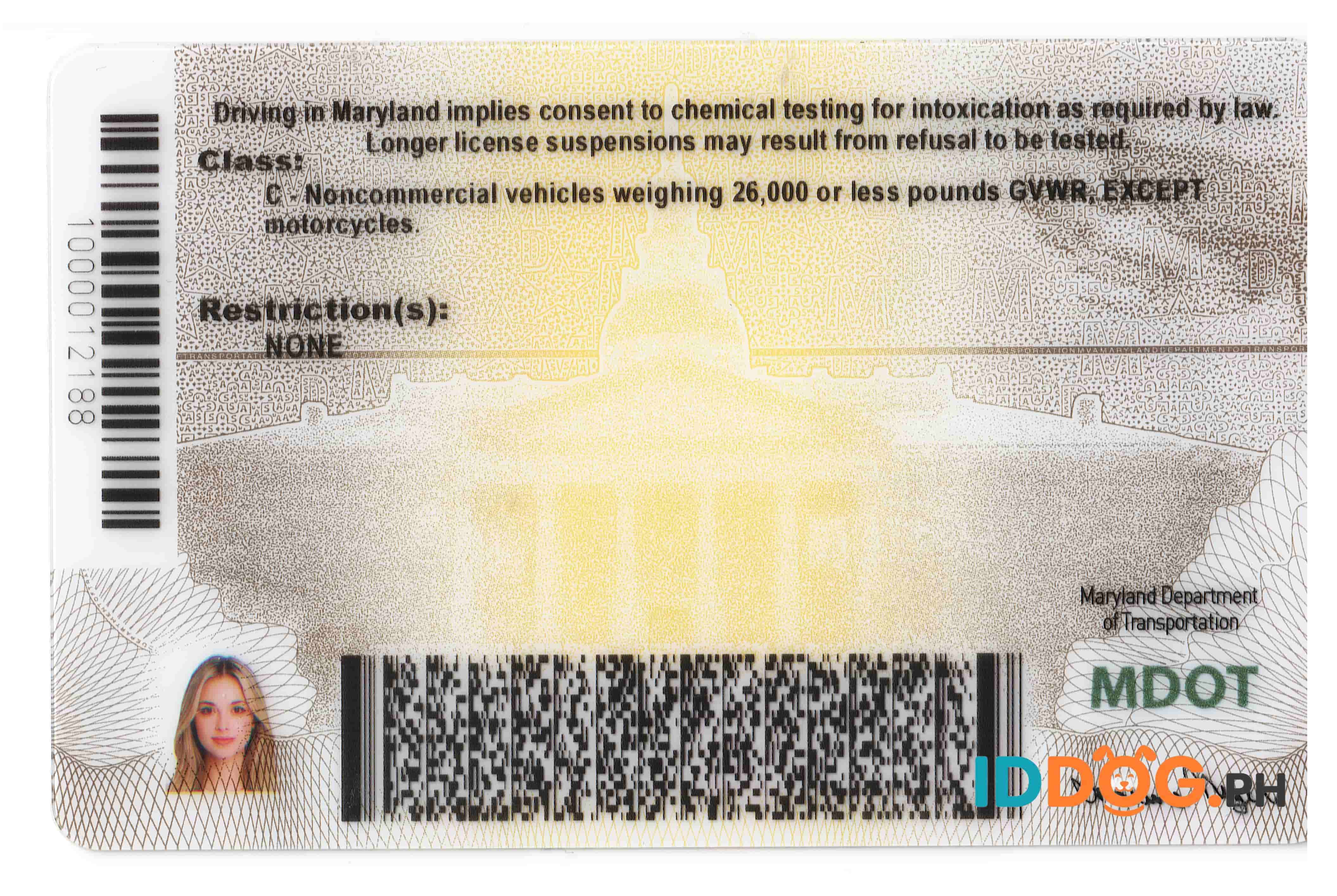 Maryland Fake ID