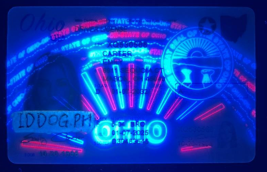 Ohio Fake ID