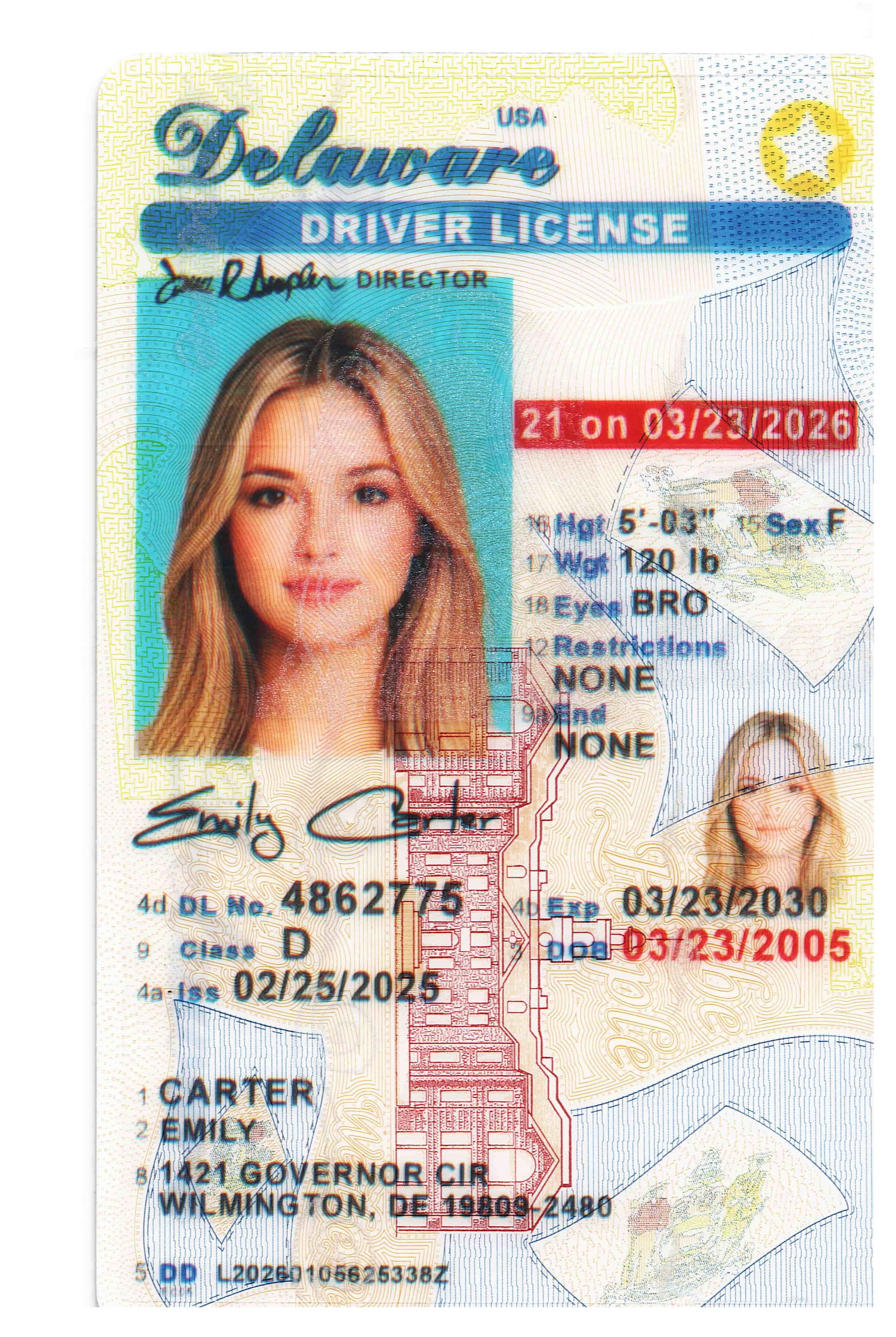 Delaware(U21) Fake id