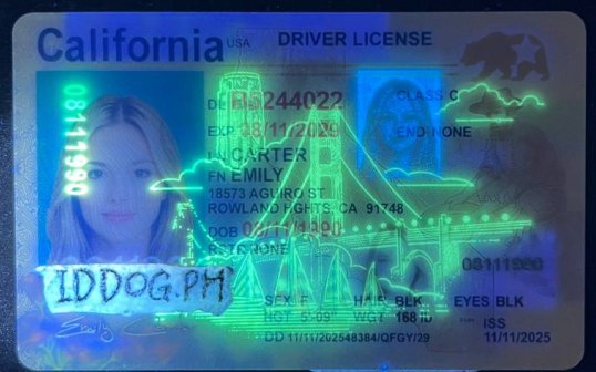 California Fake ID