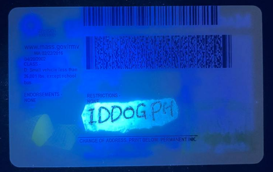 Massachusetts Fake ID