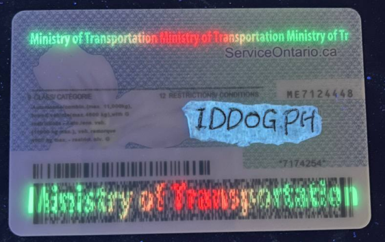 Ontario Fake ID