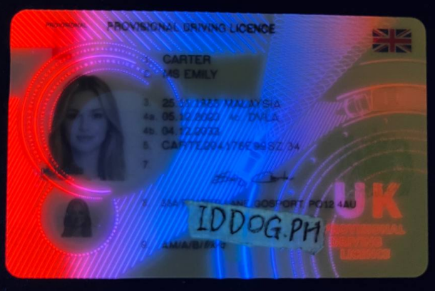 Provisional Fake ID