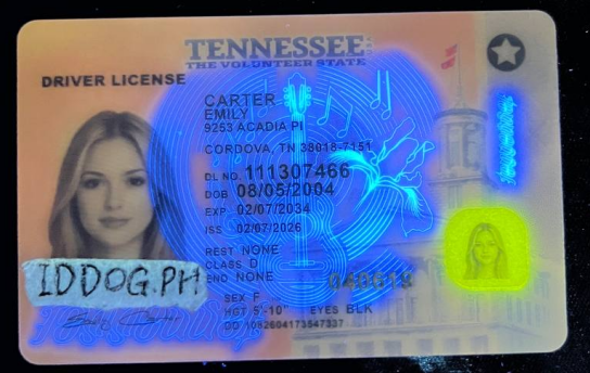 Tennessee (NEW)Fake ID