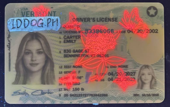 Vermont Fake ID